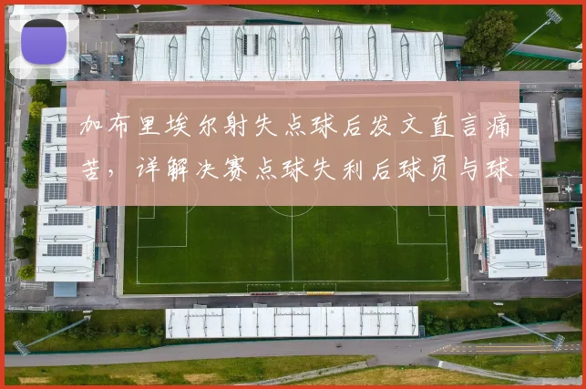 加布里埃尔射失点球后发文直言痛苦,详解决赛点球失利后球员与球队的真实心态